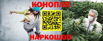 винт Новодвинск