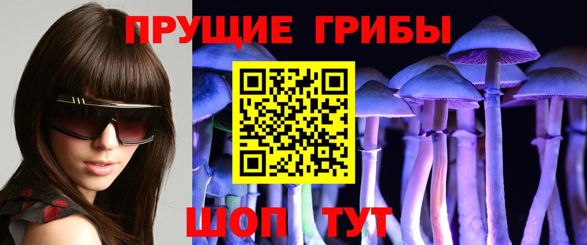 Псилоцибиновые грибы GOLDEN TEACHER  Вход с VPN  дарнет шоп  Санкт-Петербург 