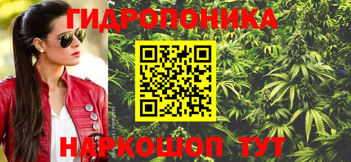 Марихуана VHQ  Шишки марихуана OG Kush  Санкт-Петербург  Канабис план  Вход с VPN 
